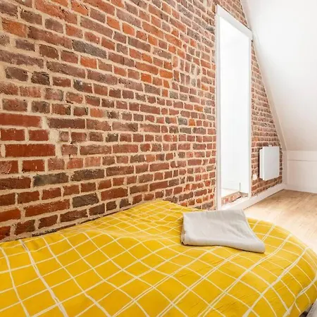Duplex Du Biplan Apartment Lille